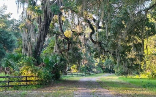 Paniola Air Ranch: 174± Acres with Private FAA-Approved Airstrip